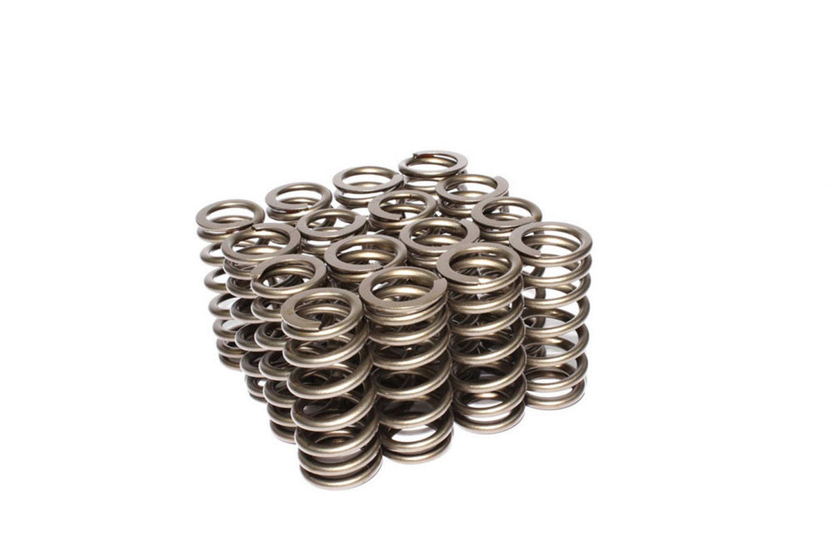 Valve Springs - 2612516