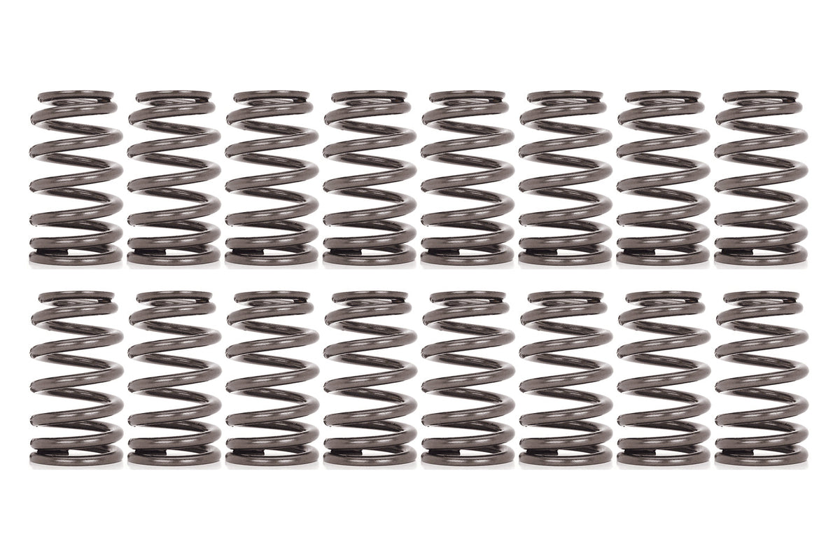 Valve Spring - 2690616