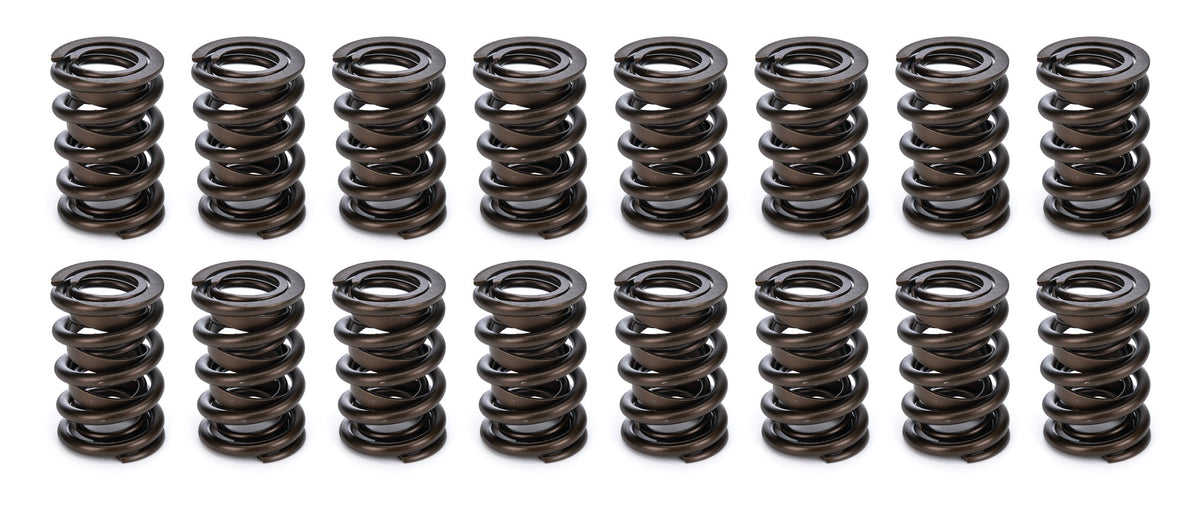 Dual Spring Set with/Damper .800 - 2692416