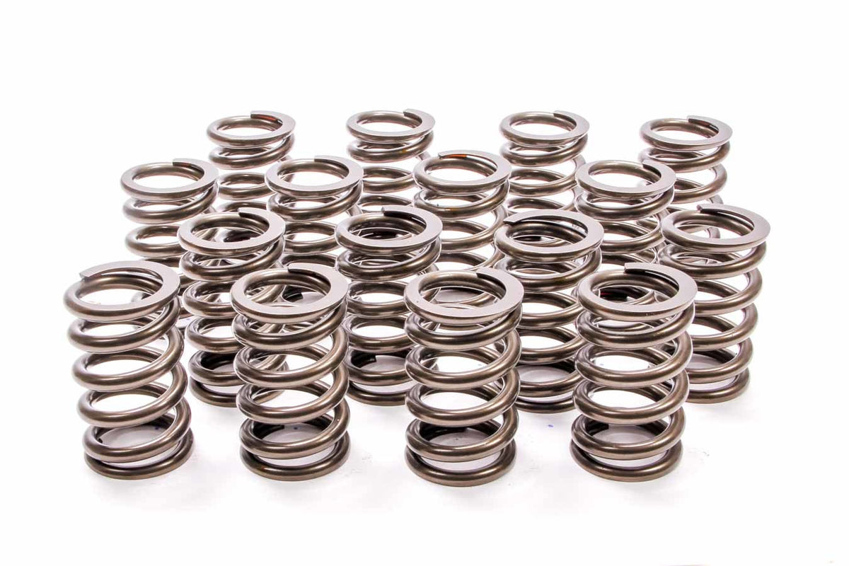 Valve Springs - 2697516