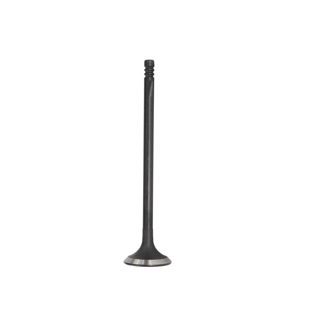 Exhaust Valve