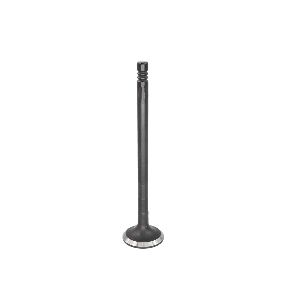 Exhaust Valve