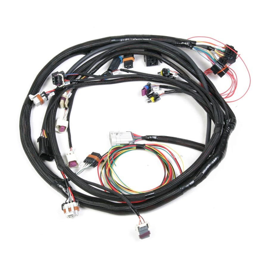 Fuel Injection Wire Harness - 558103