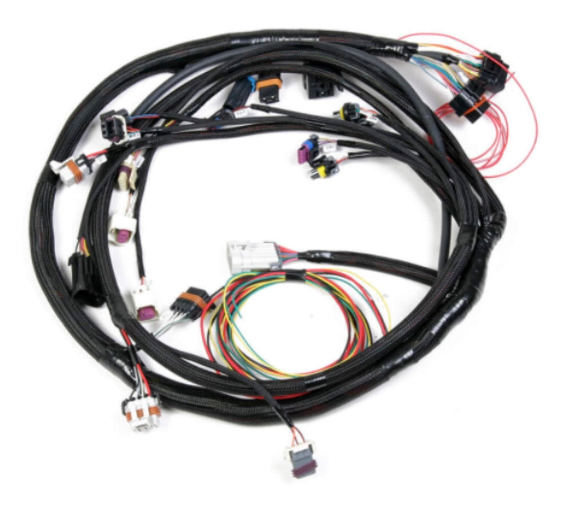 Harness Ford Foxbody 5.0L - 558128