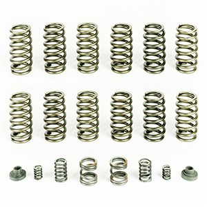 HP10245 Spring Kit (12 Springs) For 1994-98 Dodge Ram 2500/3500 With P7100 Injection Pump