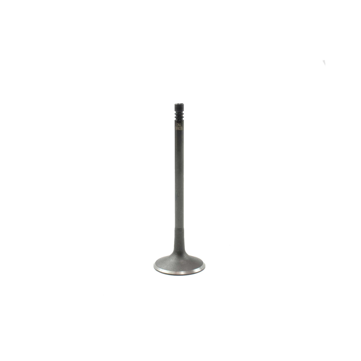 Intake Valve 2007-2010 Audi 4.2L-5.2L
