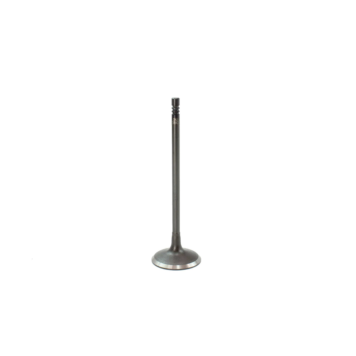 Intake Valve