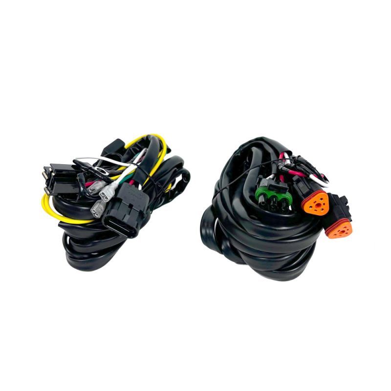 Wiring Harness with Switch - 6321