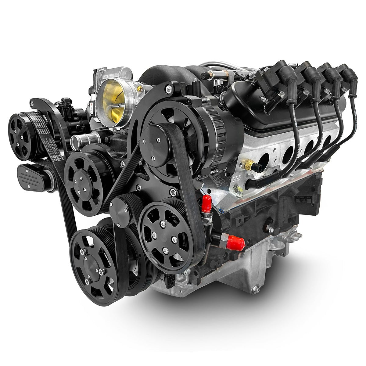 BluePrint Engines GM LS Compatible 427 C.i. Pro Series Engine - GM Plastic Intake - Deluxe Dressed - Black Pulley Kit - Holley Terminator X EFI System