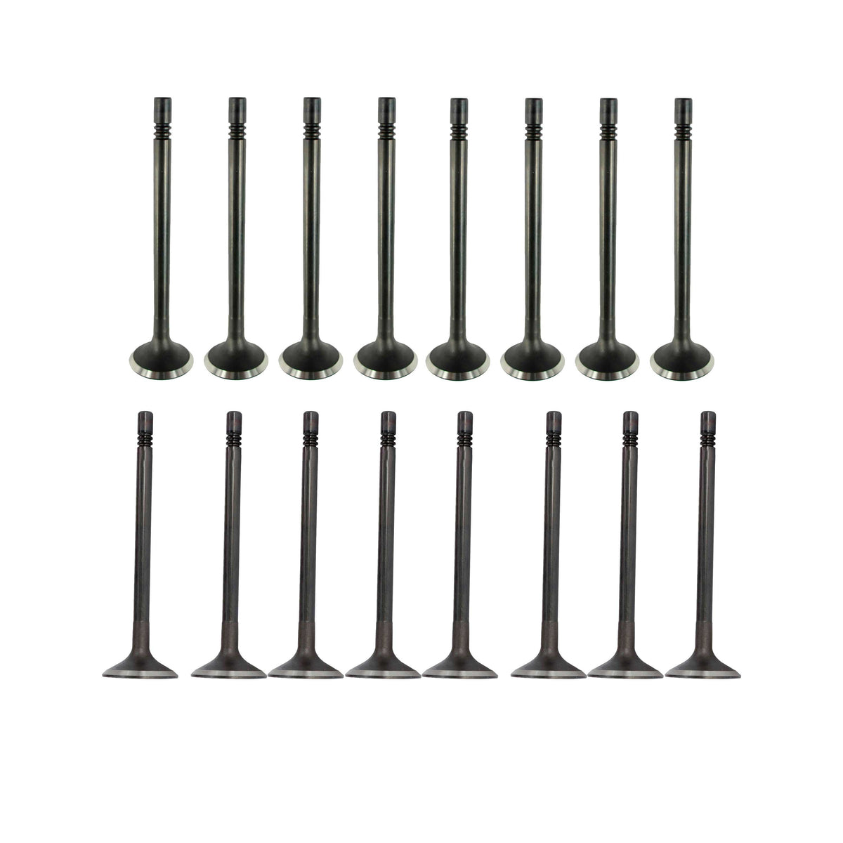 Exhaust / Intake Valve Kit 2009-2015 Audi, Volkswagen 2.0L L4 Turbocharged Engine