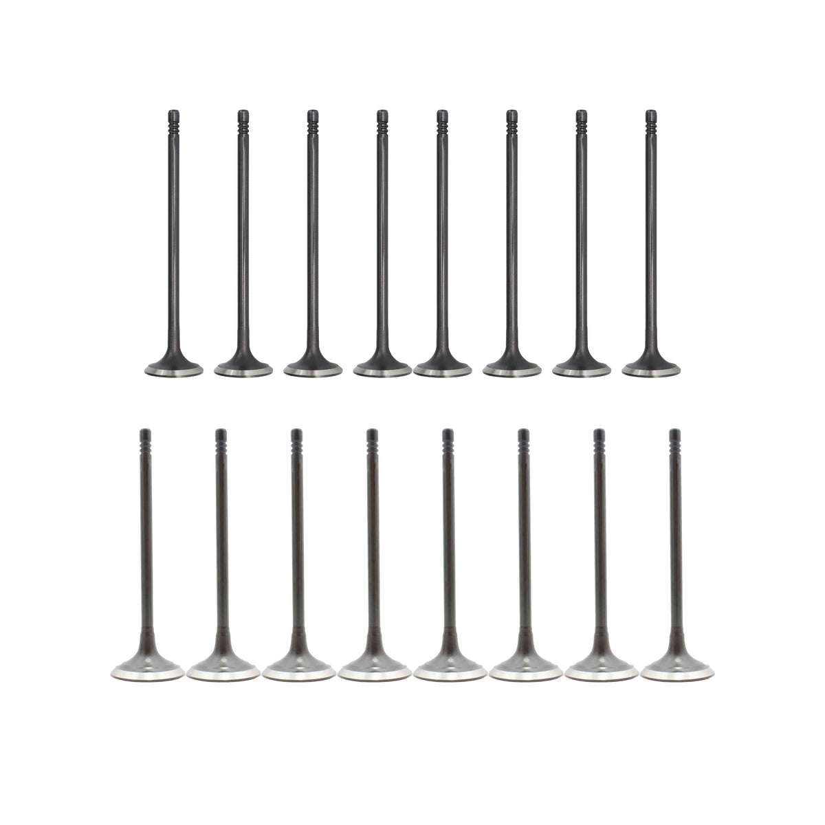 Exhaust / Intake Valve Kit 2007-2016 Mini 1.6L