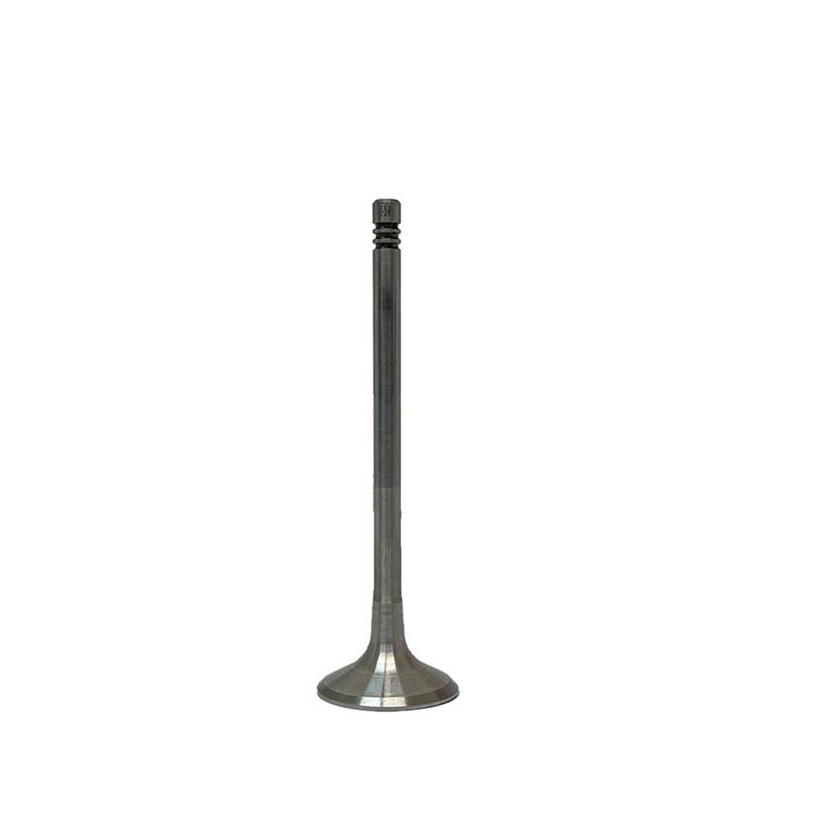Exhaust / Intake Valve Kit 2012-2016 Audi 6.3L
