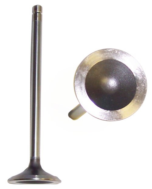 Exhaust Valve 1994-1997 Buick,Chevrolet,GMC,Isuzu,Oldsmobile,Pontiac 2.2L
