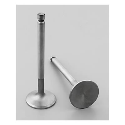 Edelbrock Stainless Steel Valves - 9787