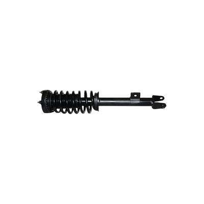Gabriel Ultra ReadyMount Struts - G57072