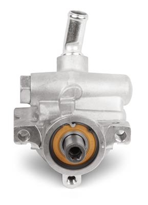 Holley LS Engine Power Steering Pumps - 198100