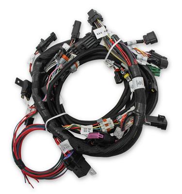 Holley EFI Systems Main Wiring Harnesses - 558110