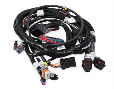 Holley EFI Systems Wiring Harnesses - 558112