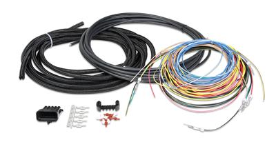 Holley EFI Systems Wiring Harnesses - 558306