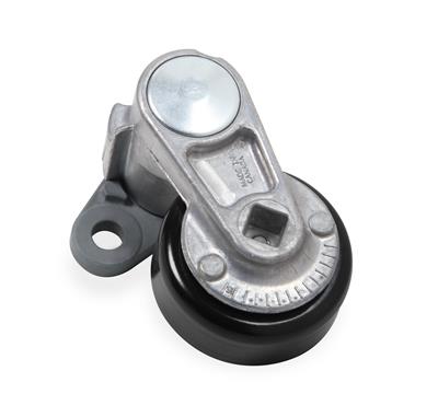 Holley LS Tensioner Assemblies - 97156