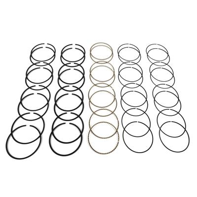 Hastings Premium Ductile Ring Sets - 2M4726030