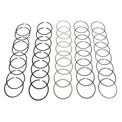 Hastings Premium Ductile Ring Sets - 2M4790