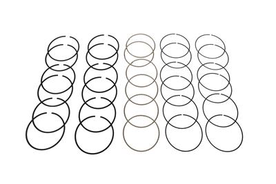 Hastings Premium Ductile Ring Sets - 2M6196030