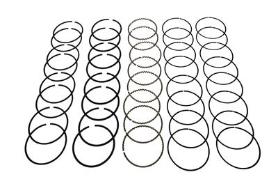 Hastings Premium Ductile Ring Sets - 2M694