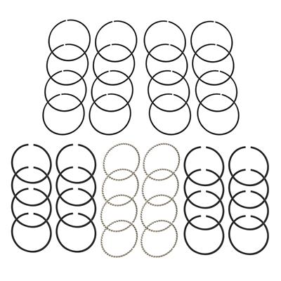 Hastings Premium Ductile Ring Sets - 4860
