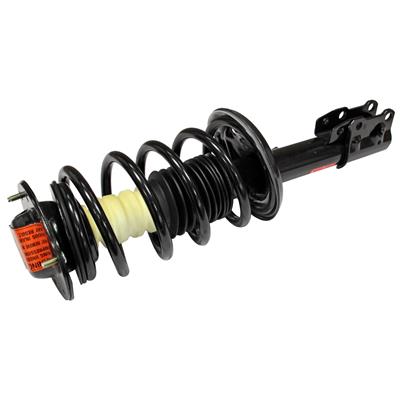 Monroe Quick-Struts - 172200