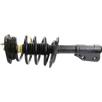 Monroe Quick-Struts - 172321