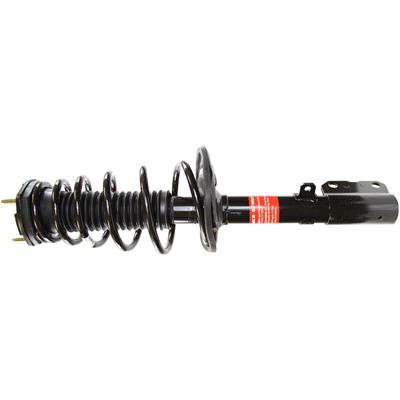 Monroe Quick-Struts - 172942