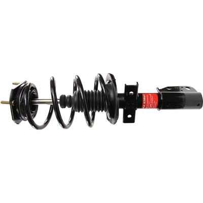 Monroe Quick-Struts - 172949