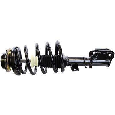 Monroe Quick-Struts - 272638