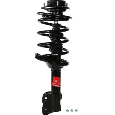 Monroe Quick-Struts - 272684