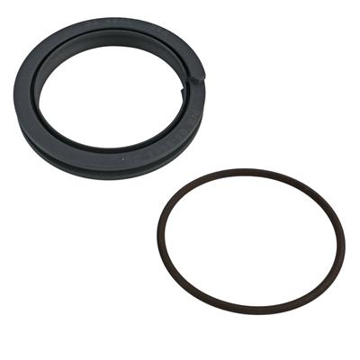 Peterson Fluid Systems Engine Seals - SM86665