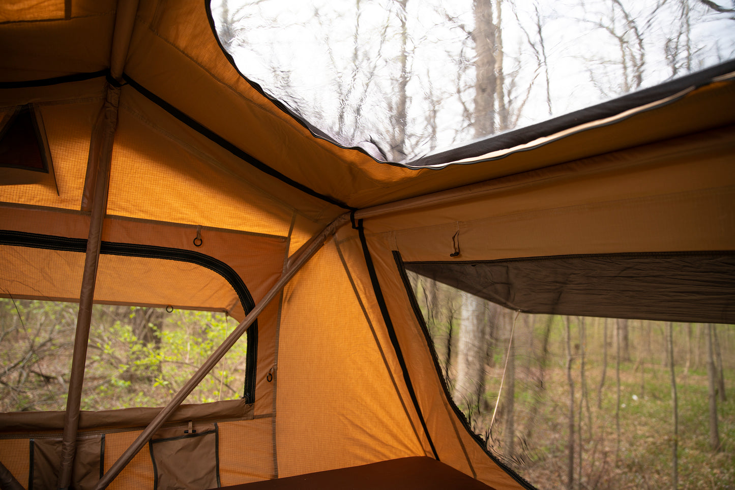 TNT1.9 Series - Orange Coffee Brown Trim - Coffee Brown Orange Trim