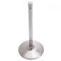 Intake Valves For #61409 & #77409 Cylinder Heads