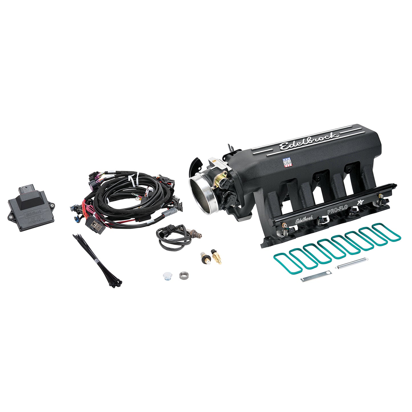 Pro-Flo 4 Standalone ECU And Harness Kit  No Distributor