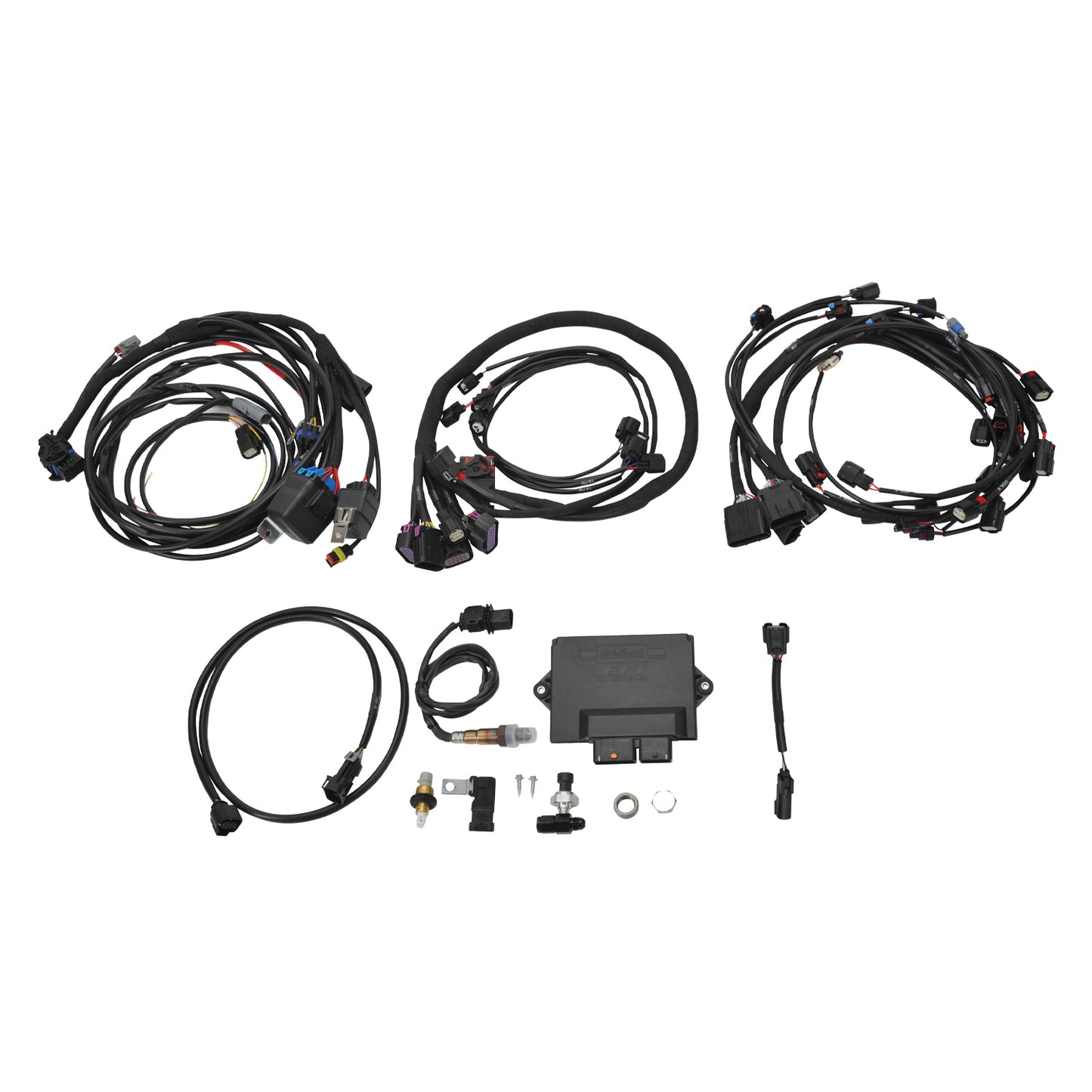 Pro-Flo 4+ #36110 EFI Engine Management For 2011-14 Ford Coyote Engine Swap