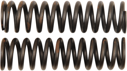 04050324_0.png
