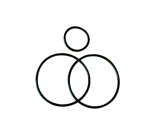 O-RING KIT