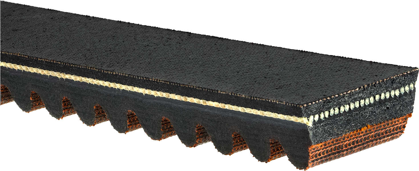 11420407_6.png