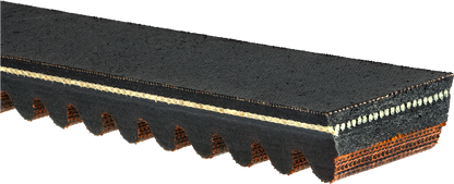 11420431_6.png