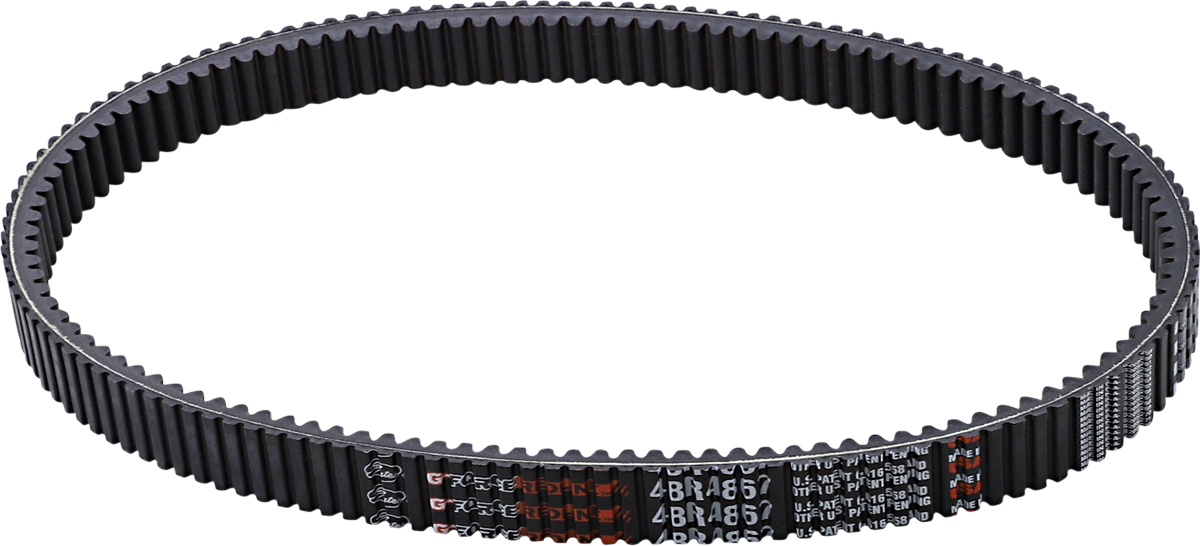 11420952_0.png