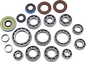 12050389_0.png