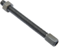 17300023_0.png