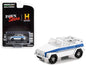 1974 Volkswagen Thing (Type 181) White with Blue Stripes "Pawn Stars" (2009-Current) TV Series "Hollywood Series" Release 37 1/64 Diecast Model Car by Greenlight  free shipping USA