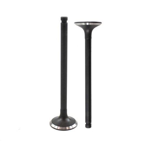 Exhaust Valve 1983-1988 Nissan 1.6L