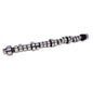 Computer Controlled 206/210 Hydraulic Roller Cam For Chrysler Magnum